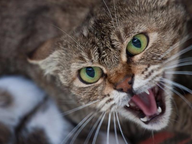 �� ���������� ������ ��������� ����������� ������������ ������������ ��������� 