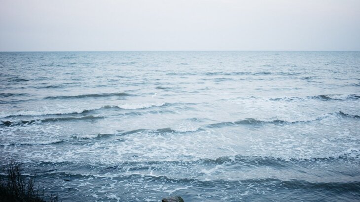 ����� �� �� �������� ����� ������� � �������� � ���