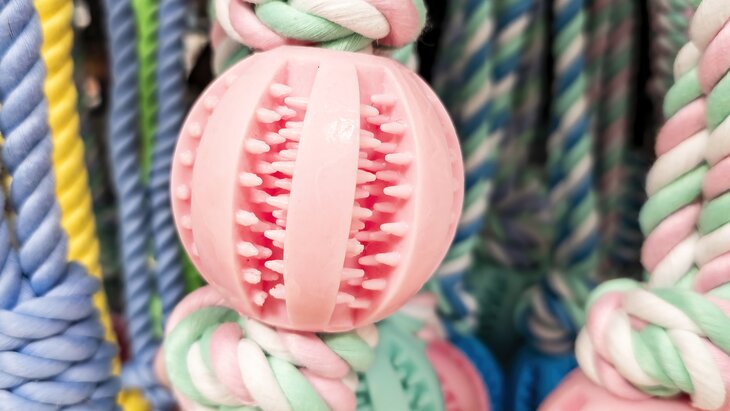 ������� ���������, ��� ��������� ������ �� ����� ���������� �������