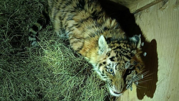 � ����������� ���� ����� ����������� ��������