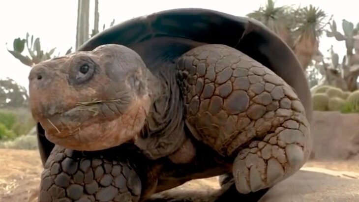 � �������� ���-����� ������ ���������� 20 ����������� ��� ��������