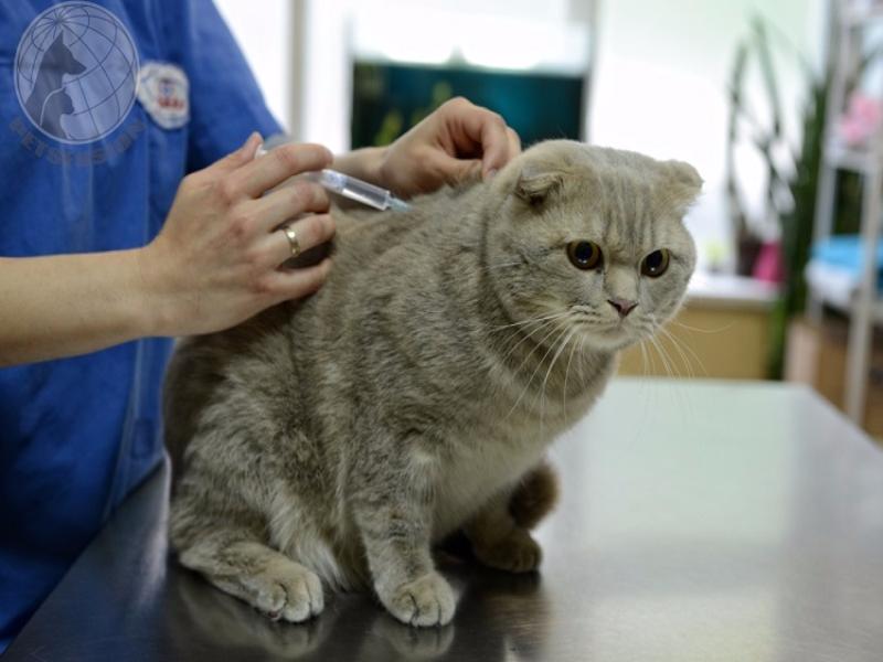 � ����������� �� ���� ������ �������� ��� ������ �� ���������� �������� �� ��������� 