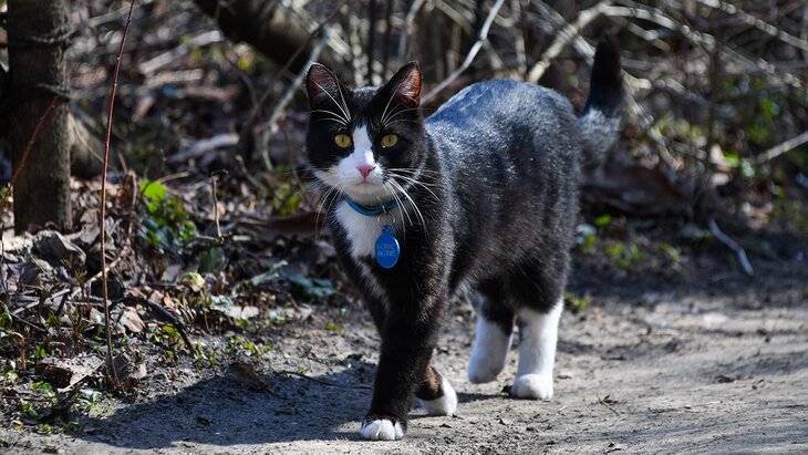 ��������� ��������, ������ � ������ �� ������ "���������� �����"