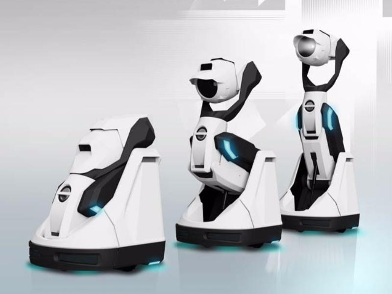 ���� ������ ������ ��������� ����������� ����� ����������� ��������� "�������� - 2016" 