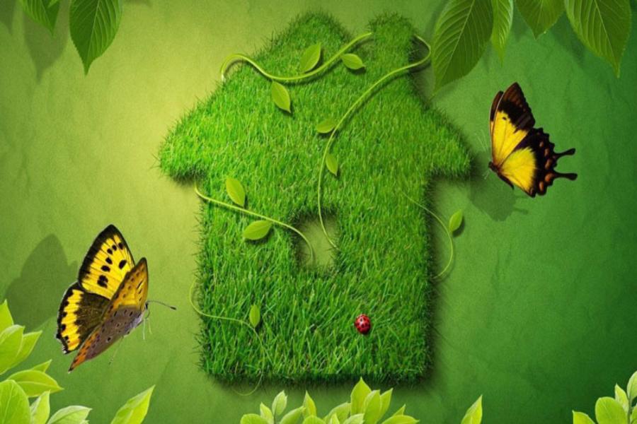 ���������� ������� �������� � ������ � �����������  �������� � ����������� 