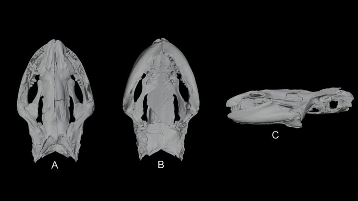 ������� �������������� ������� ������� � ��������� ������������