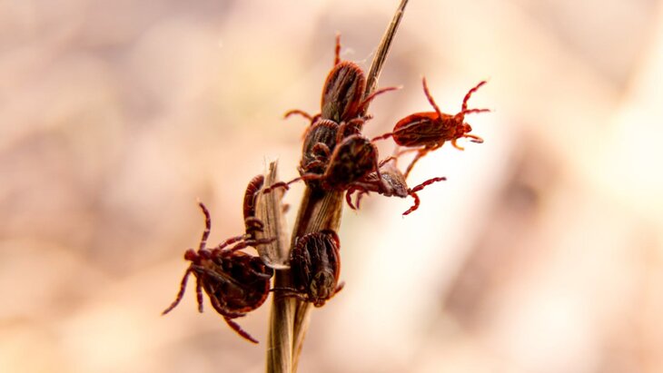 ��������������� ����������� � ������ ������ ������������ ������