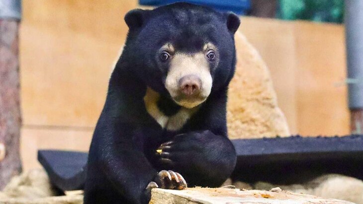 ��������� ������� �� ���������� ����������� �������� ����� ������� ���������