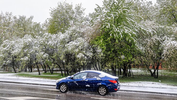 ��������� ����������, ����� ������� ����