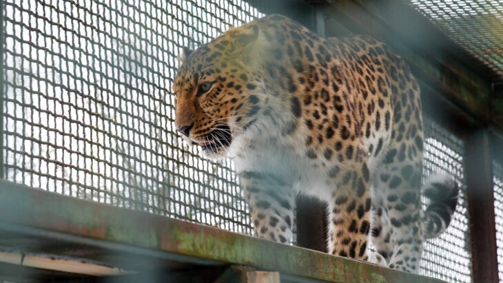 ������ ��������� ��������� ������������ ��������� � ������ ����� � ��������