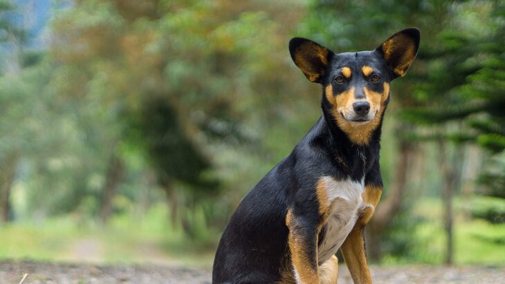 ������������ ����� ������ ����� ������������ ������� �����