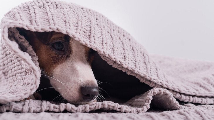 ������� ���������, ������ ������ ���� �� ����� ������� � ��� ����������