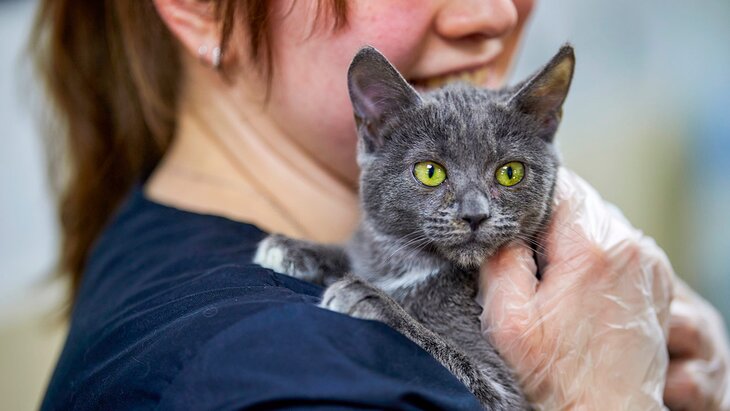 ��������������� ���������� � ������ ������� 12 ��� �������� � ���������