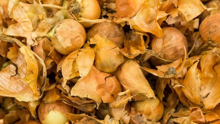 ������� ������� ������� �������� ��������� ��������� ������� ������ ���������