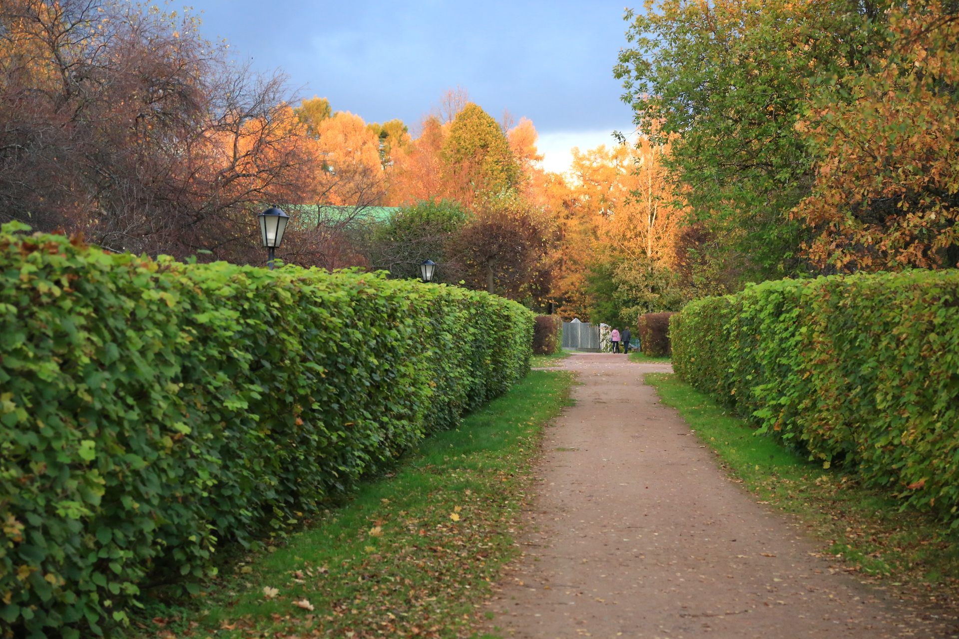  ����������� ����� �������� �� �������� ��������� ��������� ��������� ��������  