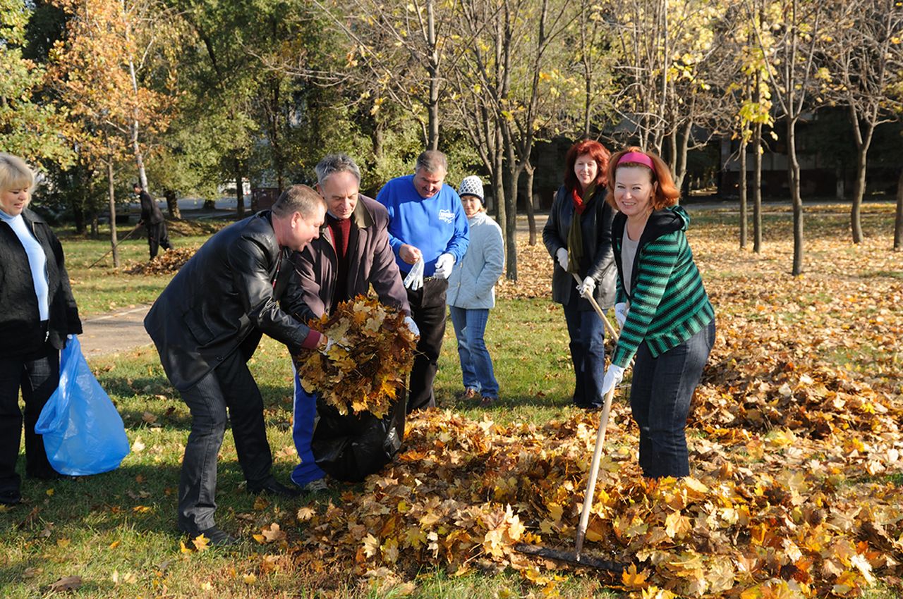 � ����������� ������ ������������� ���������