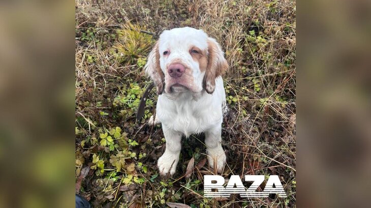 ����� ���������� ��� ���, ���������� �� ������, � ������