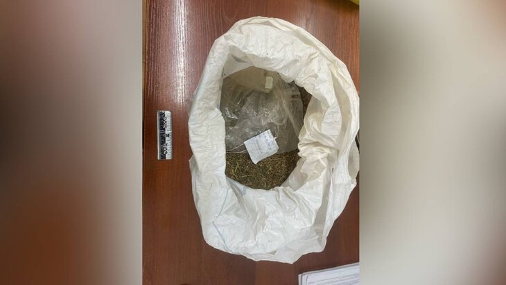 �������������� � ����� 12 ������� � �������� ���������� ��������� � ����