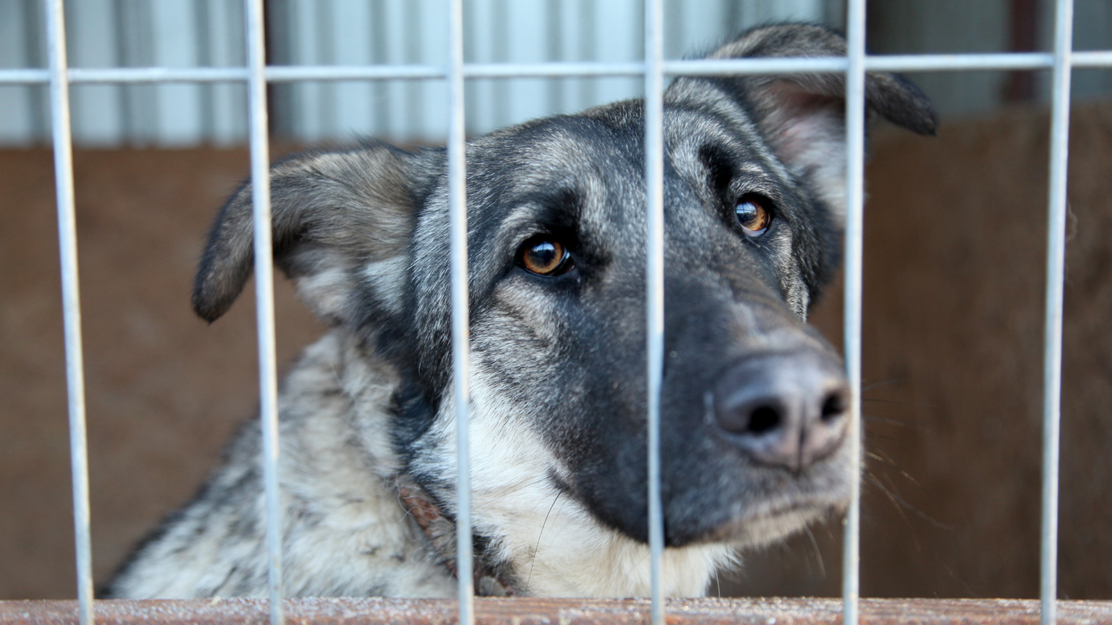 ����� ��� �������� �������� ������� �������� ���