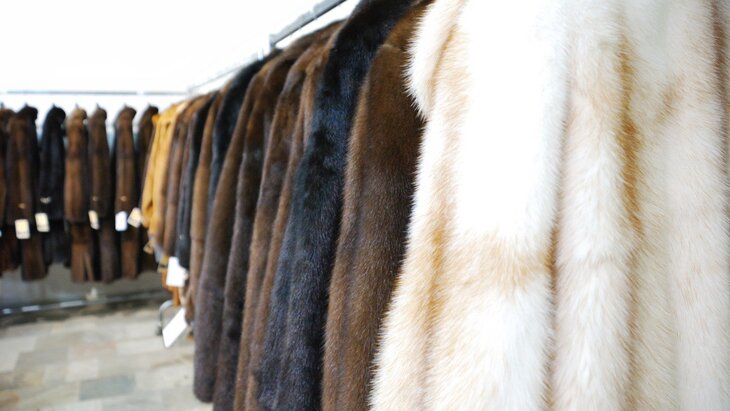 ������� ���� ����� ������� ����, ��������� � ������ � 2024 ����