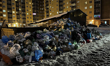 Власти Зеленограда рассказали про мусорный коллапс