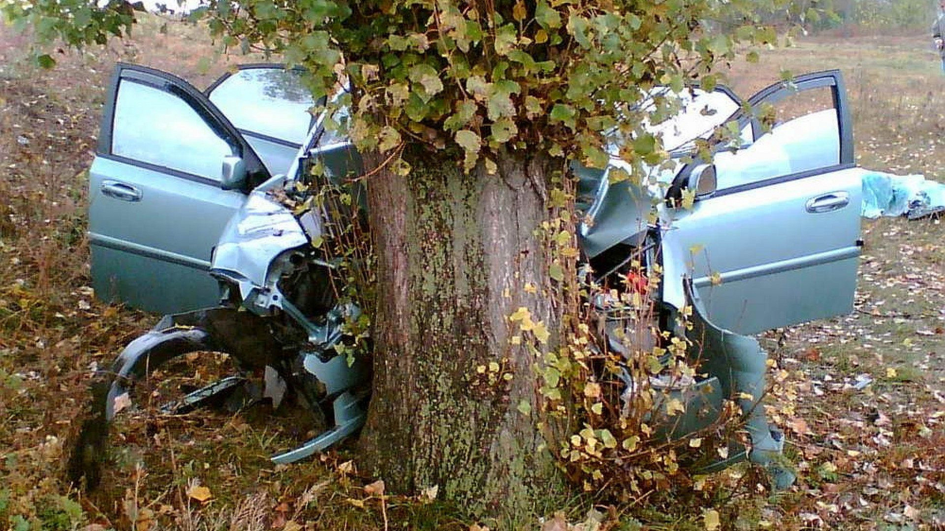 В Зеленограде подростки на авто врезались в дерево