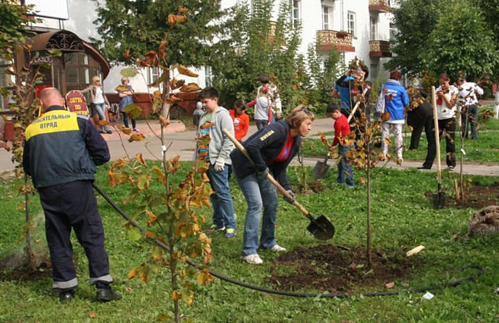 Деревья и новый асфальт: в Зеленограде начались работы по благоустройству