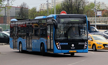17      31