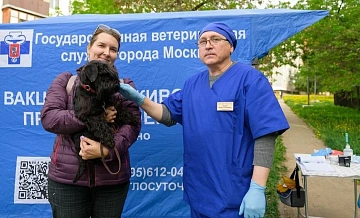 Вакцинировать животных в Зеленограде можно будет на площадках для выгула