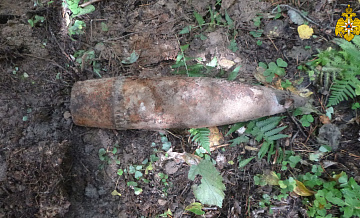 В Зеленограде нашли сразу два снаряда времен ВОВ