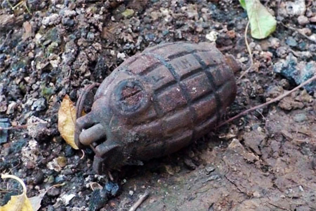В Зеленограде найдена граната времён Второй мировой