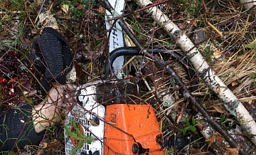 В Зеленограде лесоруб избежал наказания за гибель коллеги